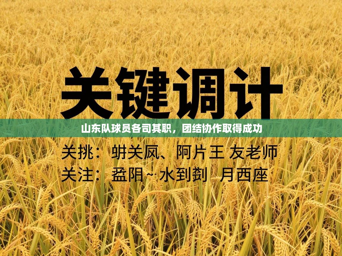 山东队球员各司其职，团结协作取得成功