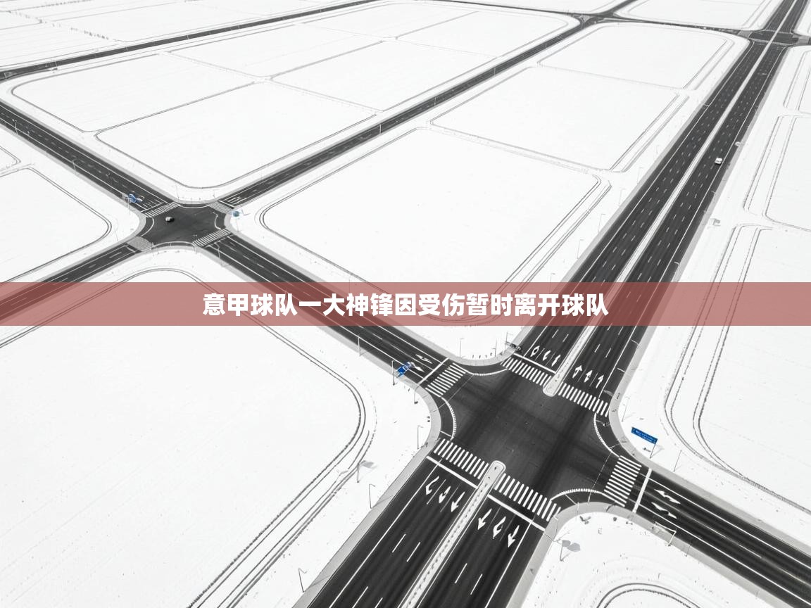 意甲球队一大神锋因受伤暂时离开球队  第2张